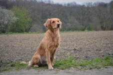 17 Maerz 2017